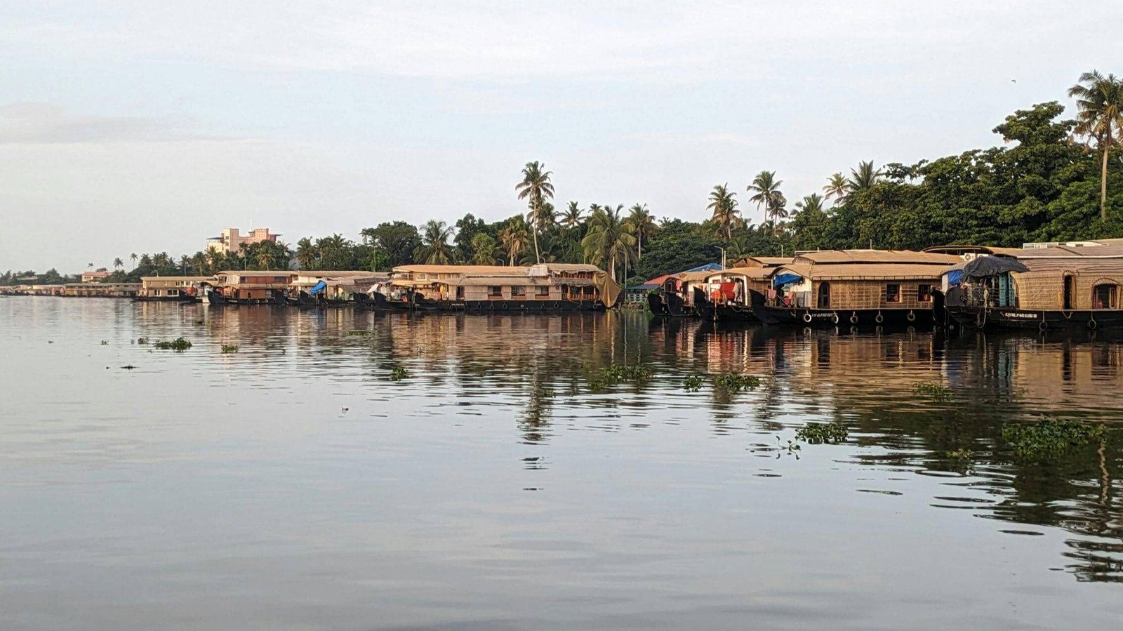 alappuzha alleppey houseboat journeys the heart of kerala backwaters