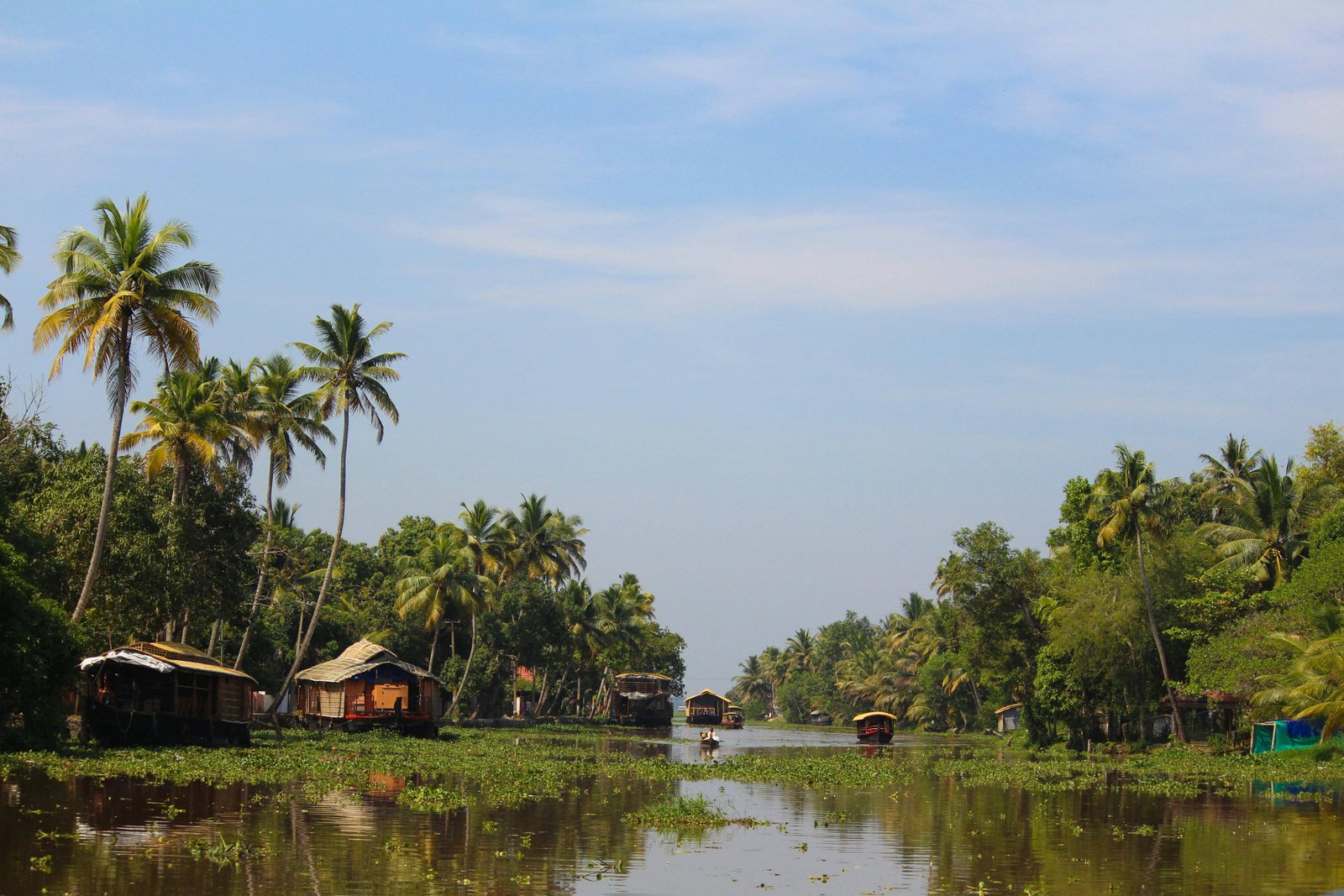 best backwater houseboat experience alleppey alappuzha kerala