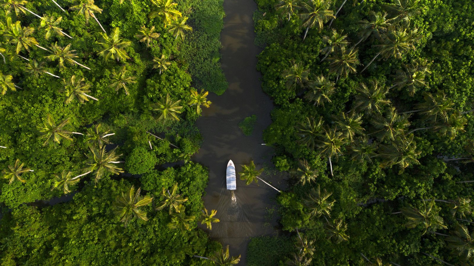 best backwaters boat ride alleppey alappuzha kerala