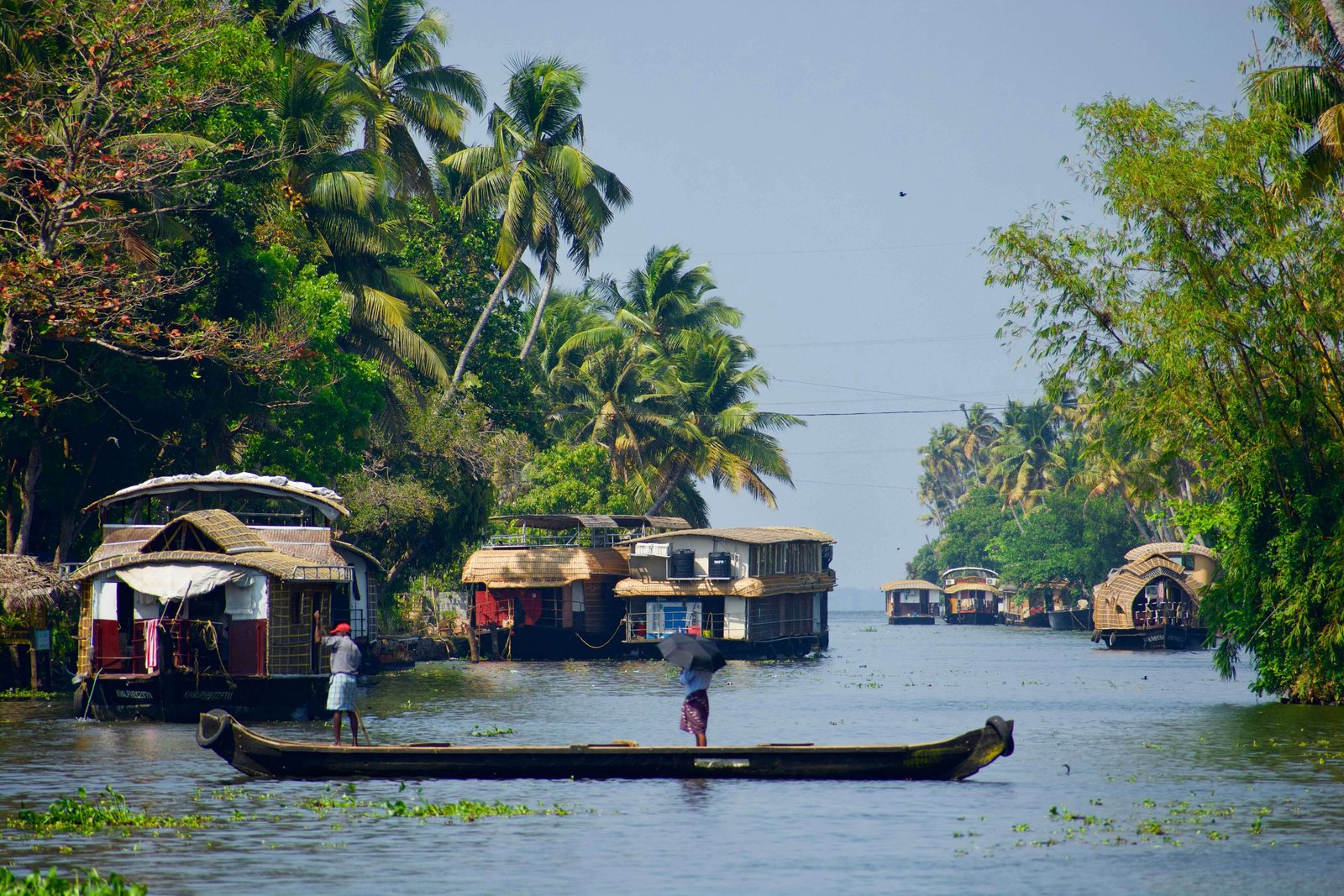 best houseboat tours in alappuzha alleppey explore kerala backwaters