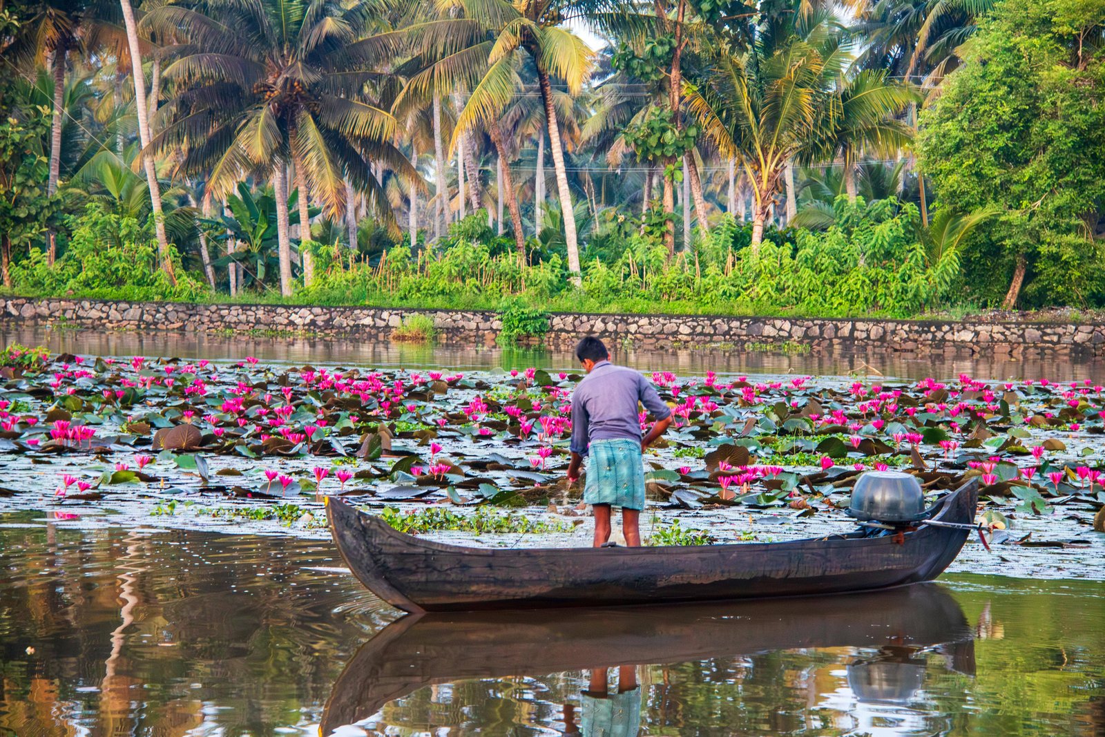 10-Day South India Experience: Kerala and Tamil Nadu