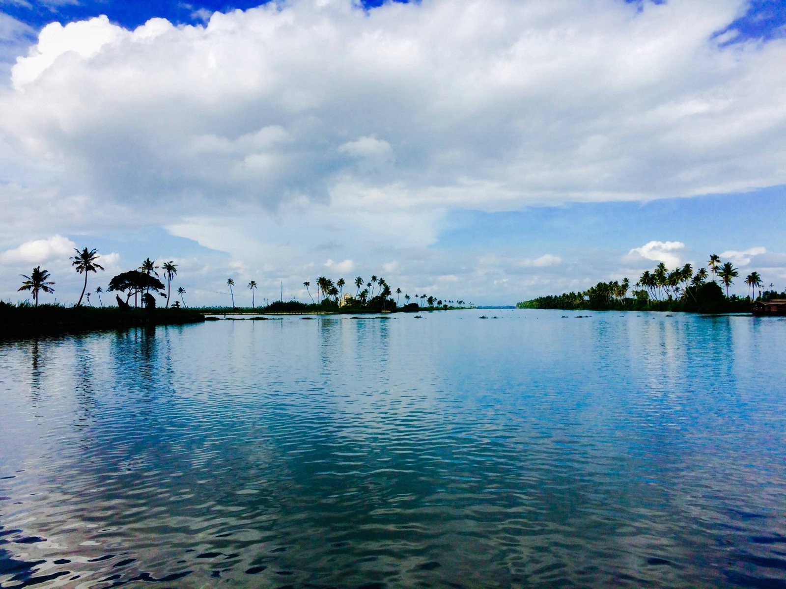 6 days Kerala tour packages Cochin Kochi Munnar Thekkady Periyar wildlife tiger reserve Alappuzha Alleppey backwater houseboat tourism India