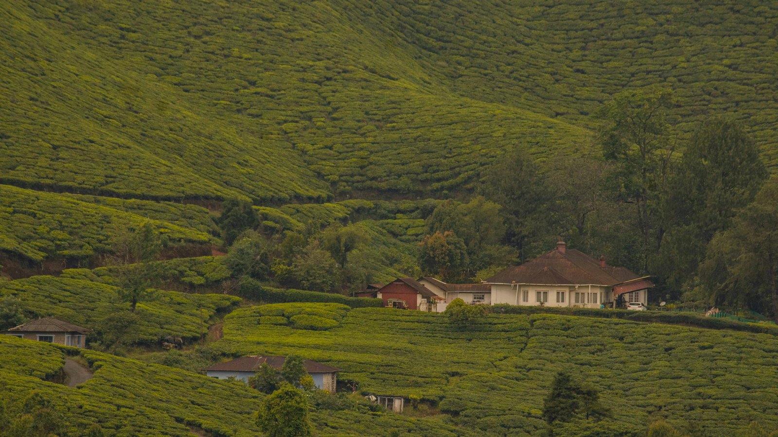Munnar sightseeing tours Kerala India Western Ghats seven days Kerala trip with Alappuzha houseboat