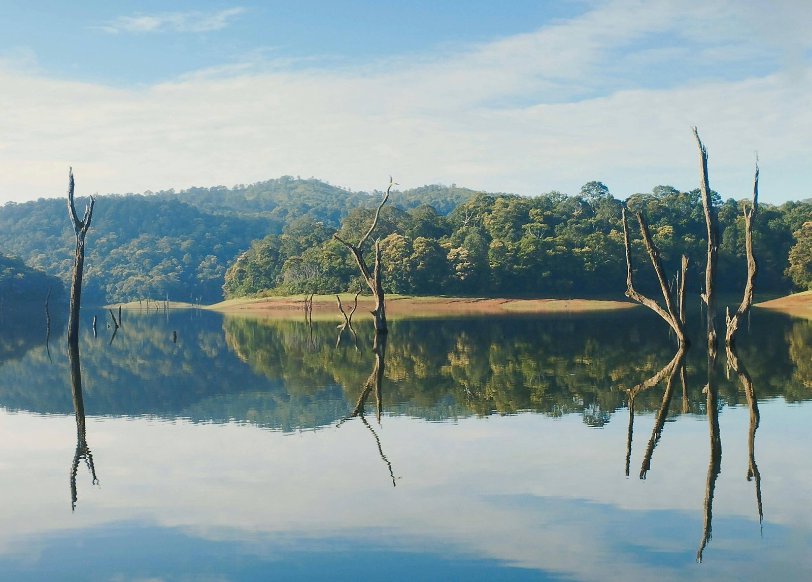 Periyar wildlife tiger reserve sanctuary eco-tourism places in Kerala, India - seven days Kerala trip with houseboat Alleppey