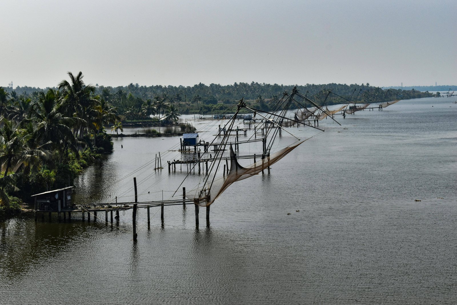 Best Chinese Fishing Nets Kochi