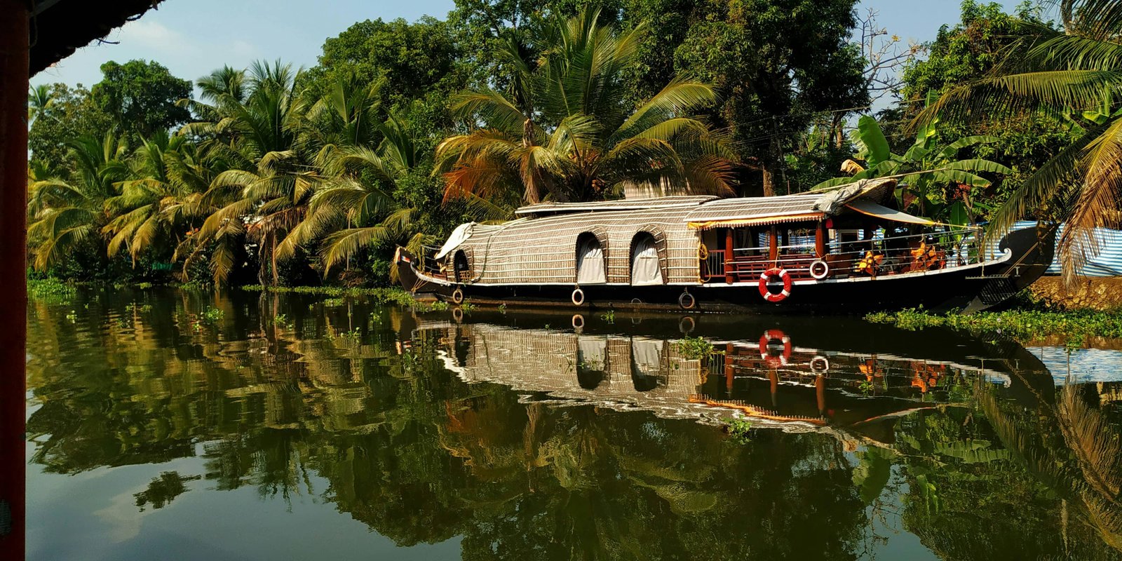 Kumarakom Bird Sanctuary Backwater Tourism Kerala India