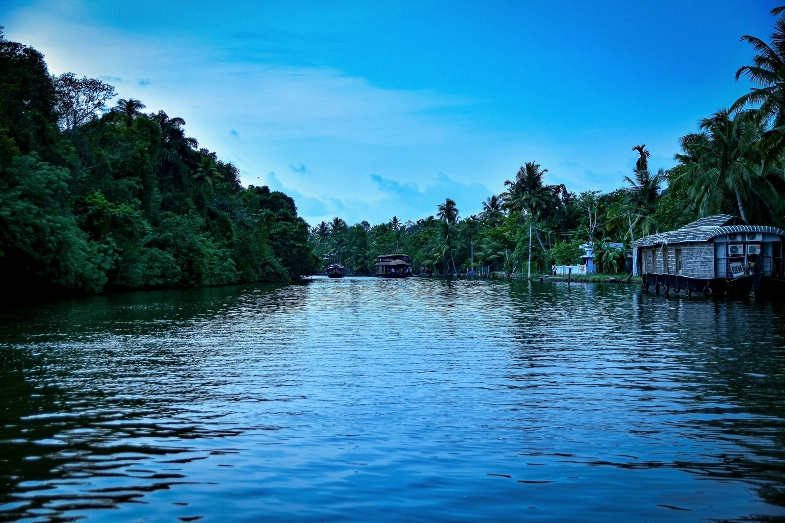 Kumarakom Village Life Backwater Tourism Kerala India