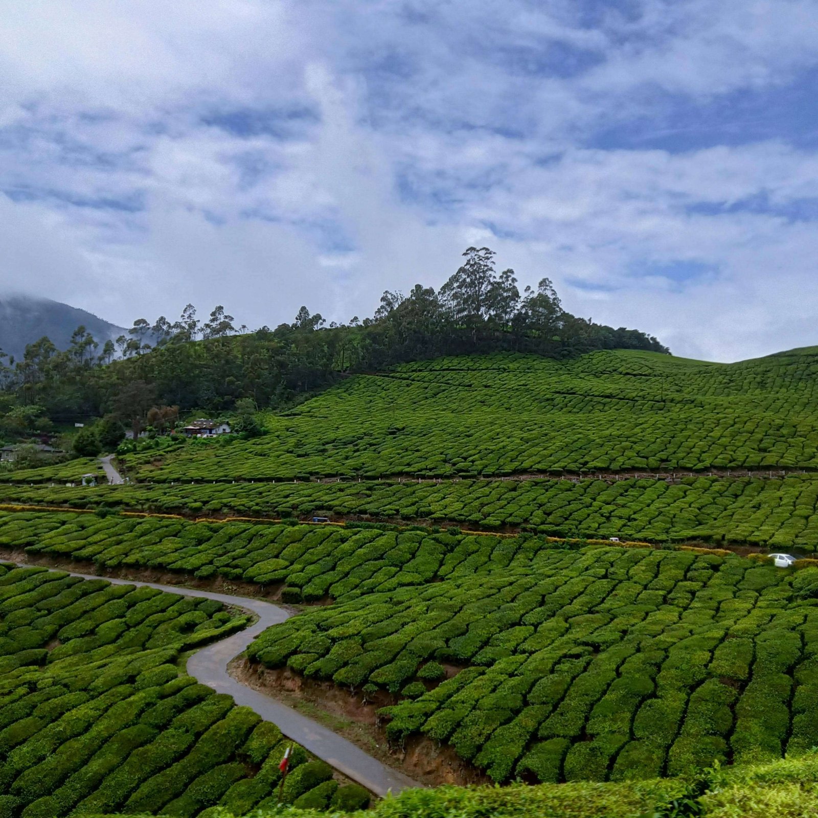 Munnar Hill Station Tour