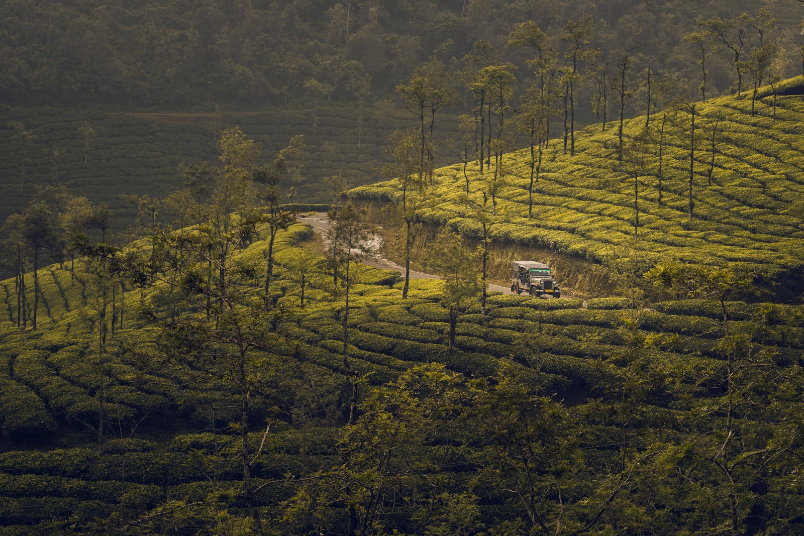 Munnar Hill Station Western Ghats Kerala India