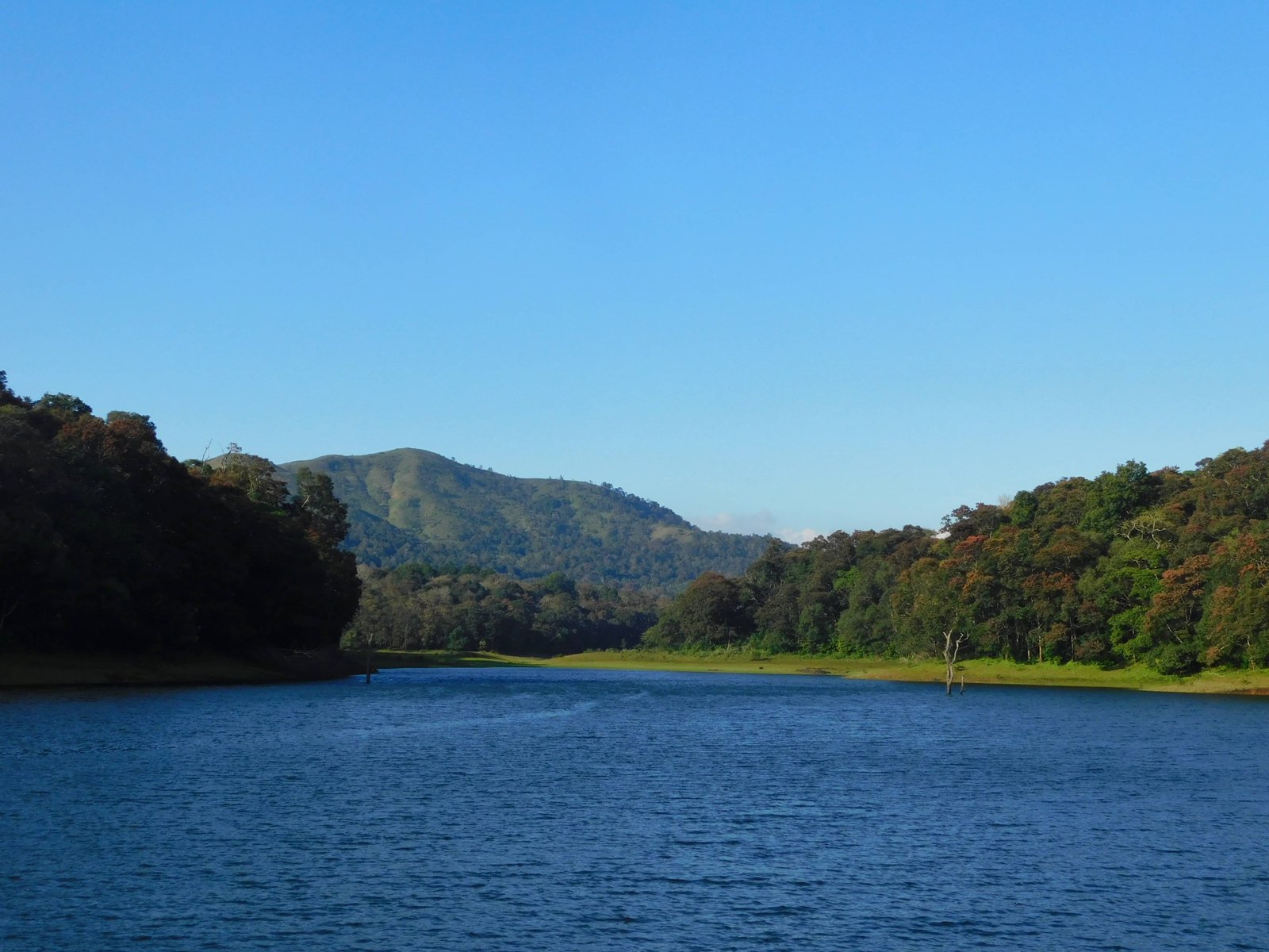 Thekkady Wildlife Tour