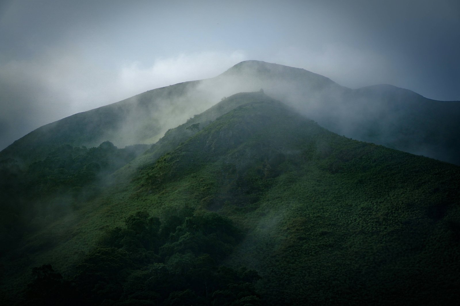 Thekkady Spice Plantations Western Ghats Kerala India