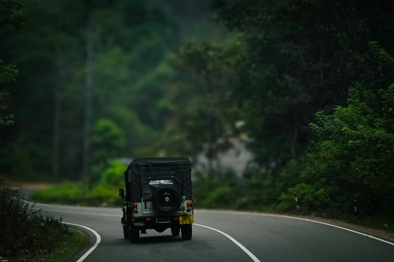 Thekkady Wildlife Safari Western Ghats Kerala India