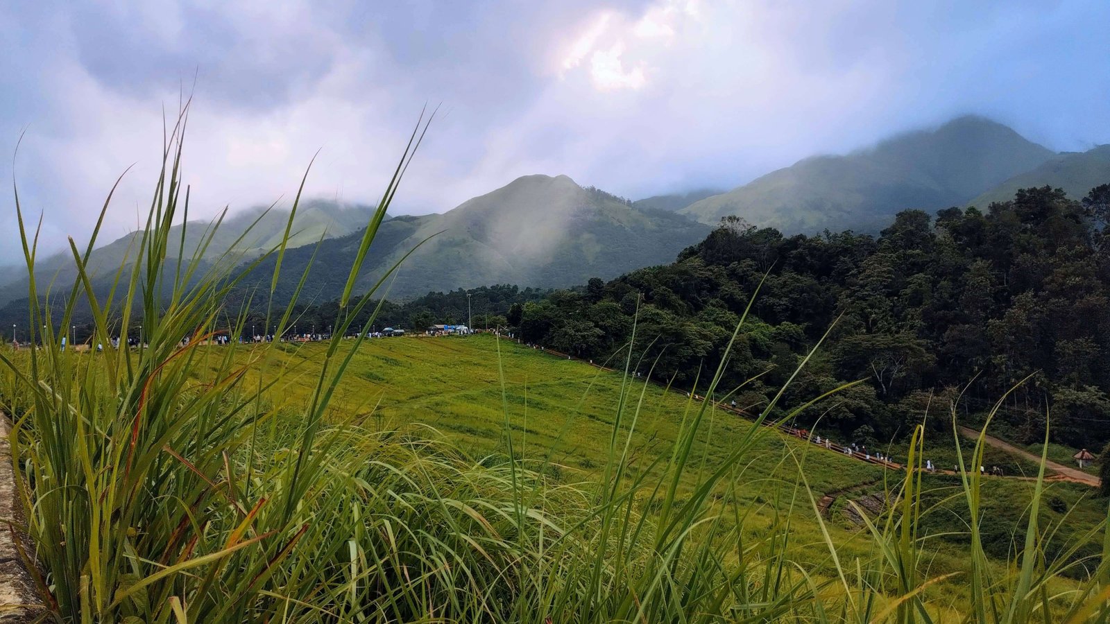 Scenic hills and lush greenery in Wayanad, Kerala, India tour