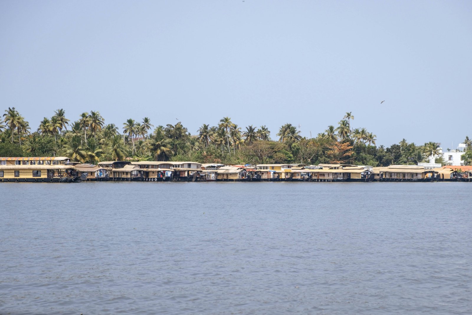 alappuzha alleppey kerala backwaters houseboats canoe