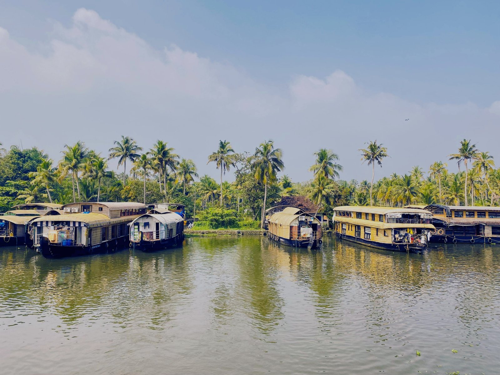 houseboats in alappuzha alleppey backwaters kerala