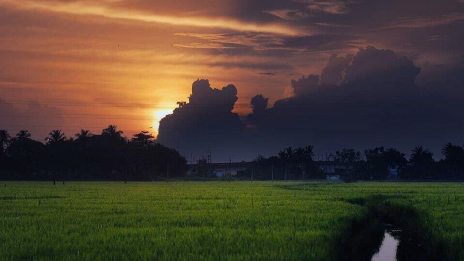 sunset over alappuzha alleppey kuttanad kerala paddy fields