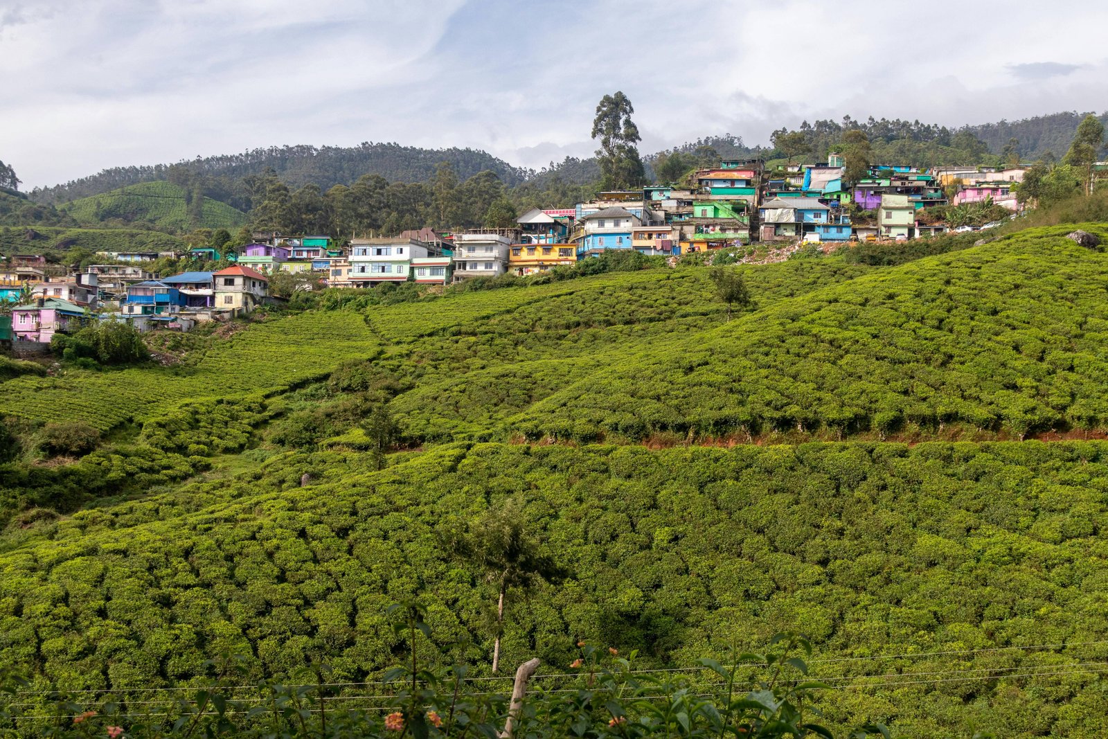 Colorful Houses in Munnar