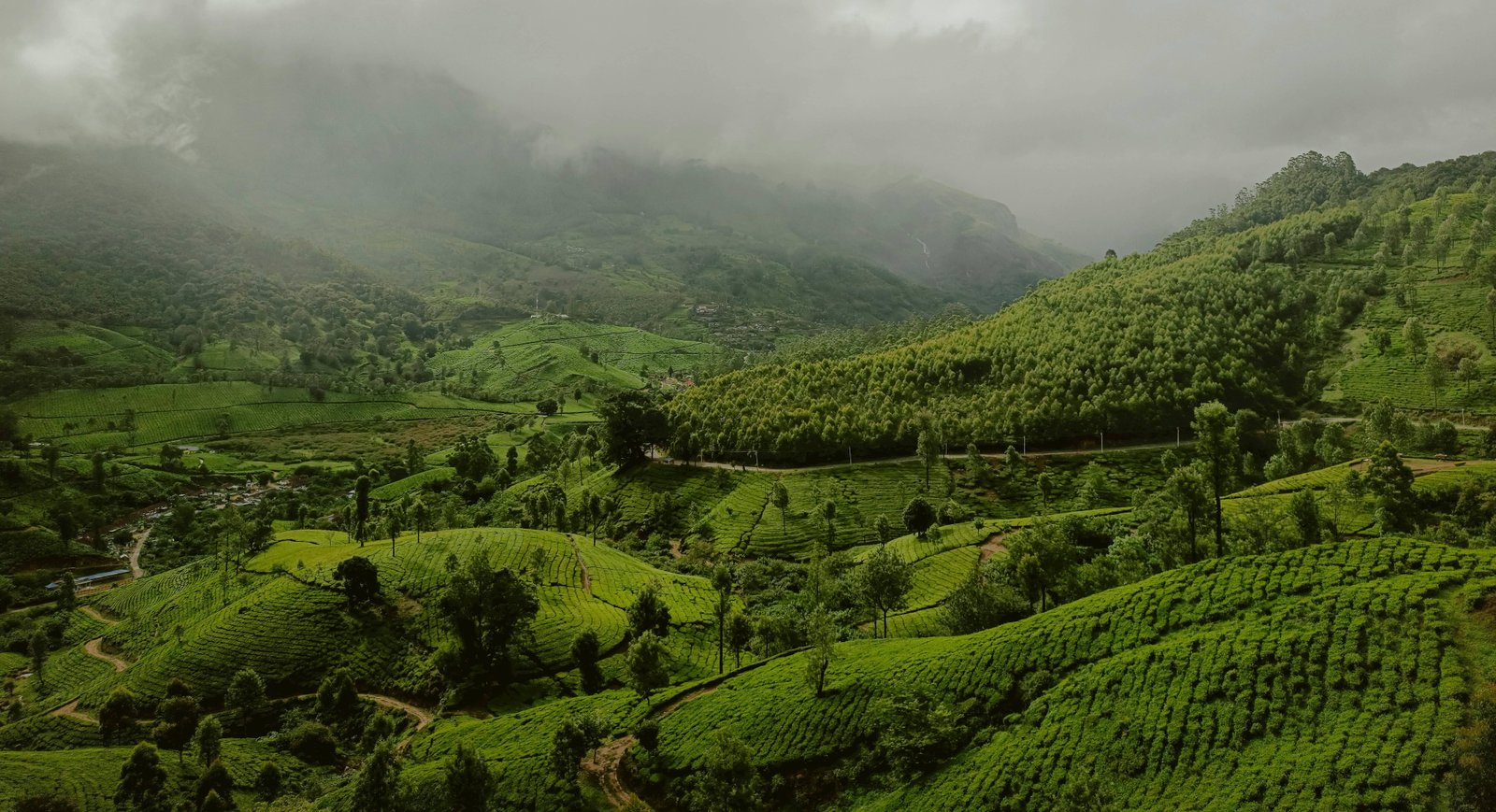 Top Station Viewpoint in Munnar