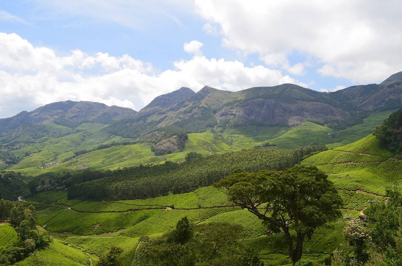 Picturesque Hills of Munnar