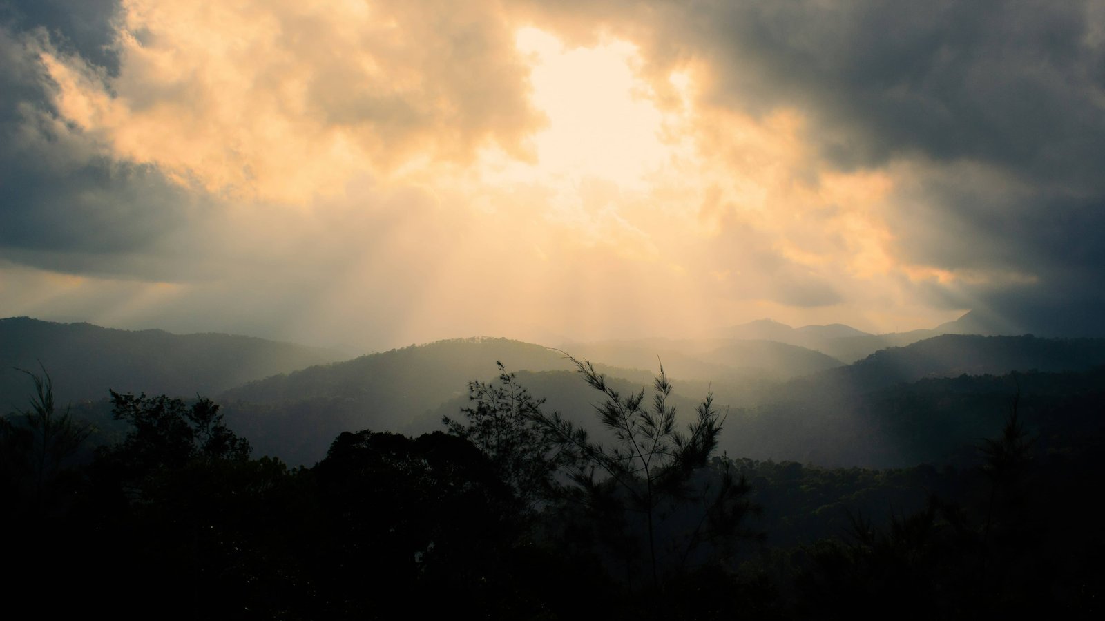 thekkady-hill-station-kerala-india