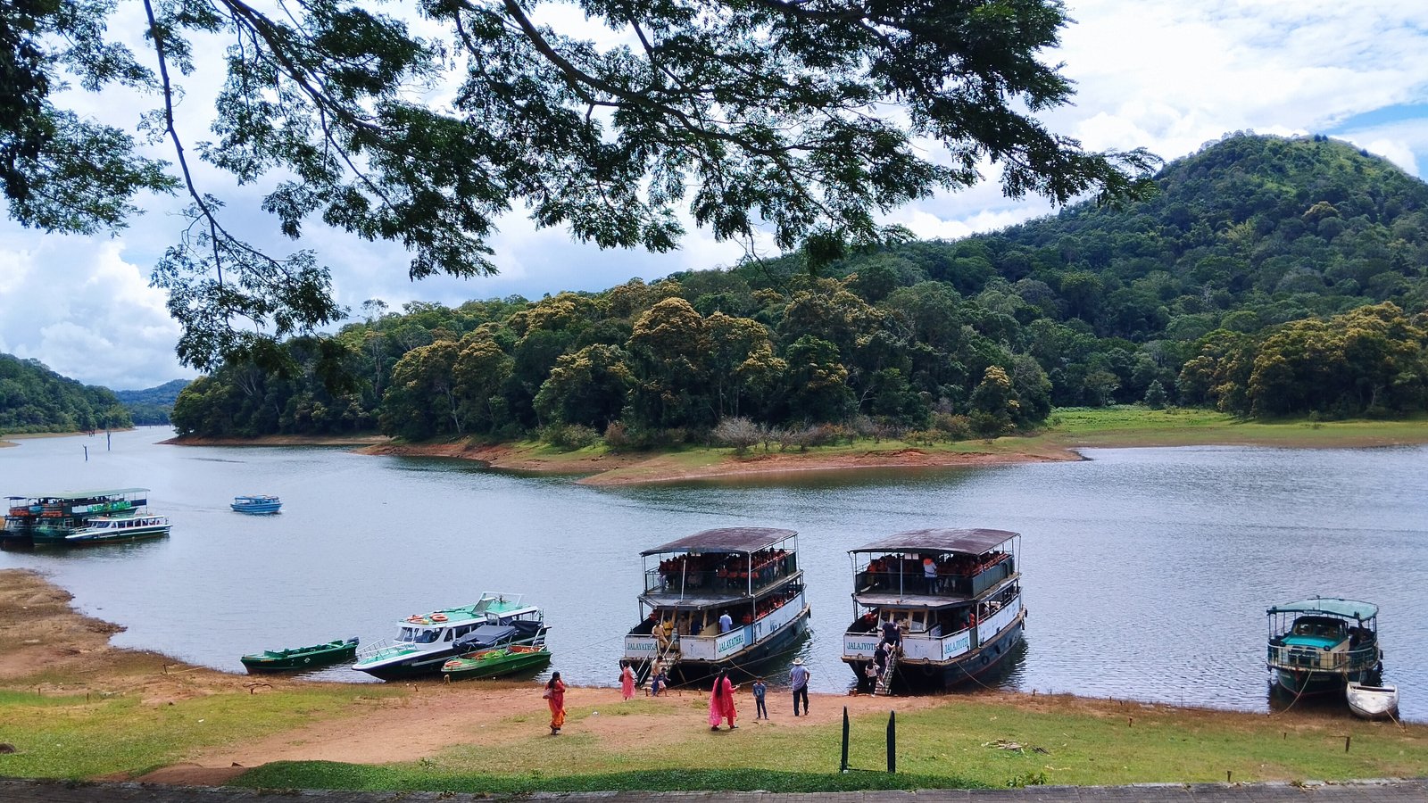 thekkady-wildlife-safari-kerala-india