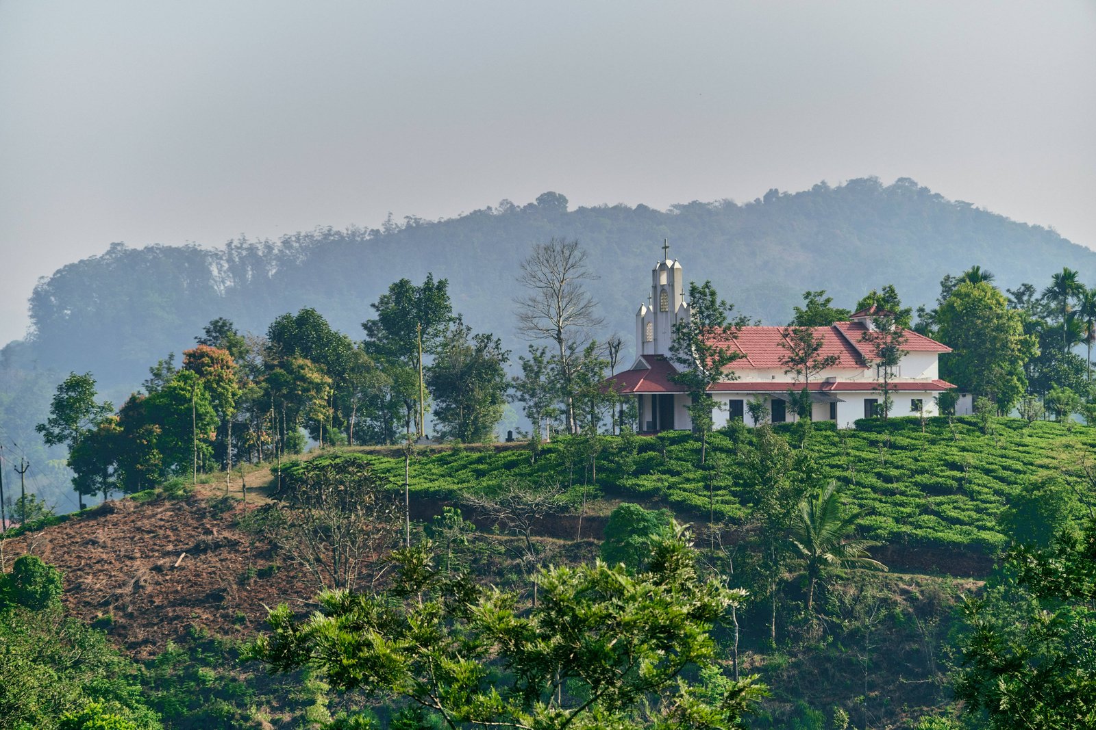 wayanad-eco-tourism-kerala-india