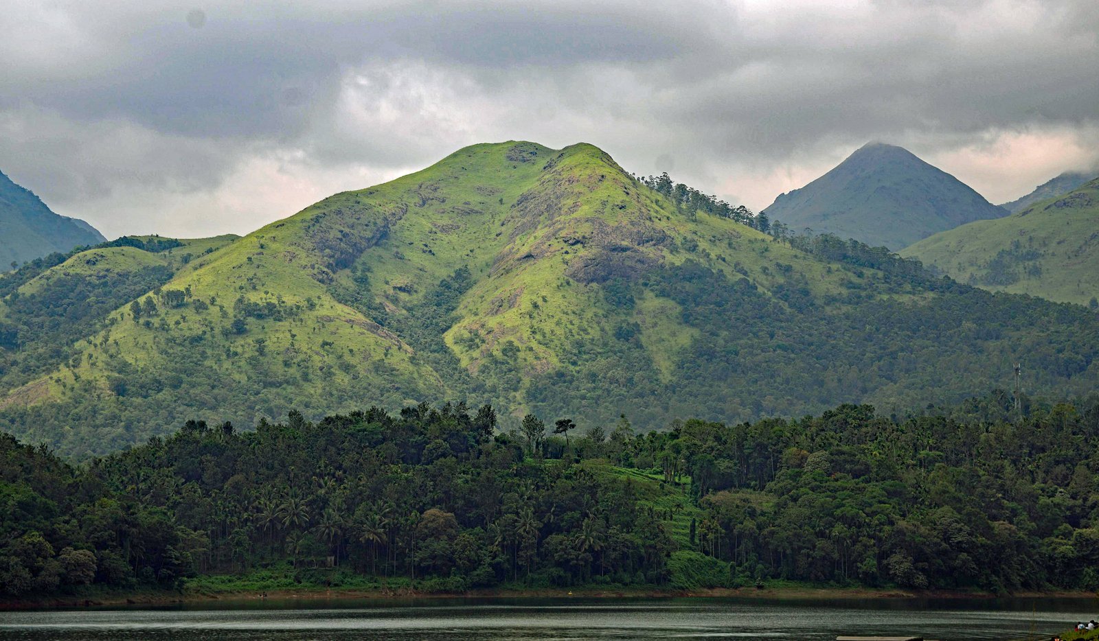 wayanad-western-ghats-wildlife-kerala-india