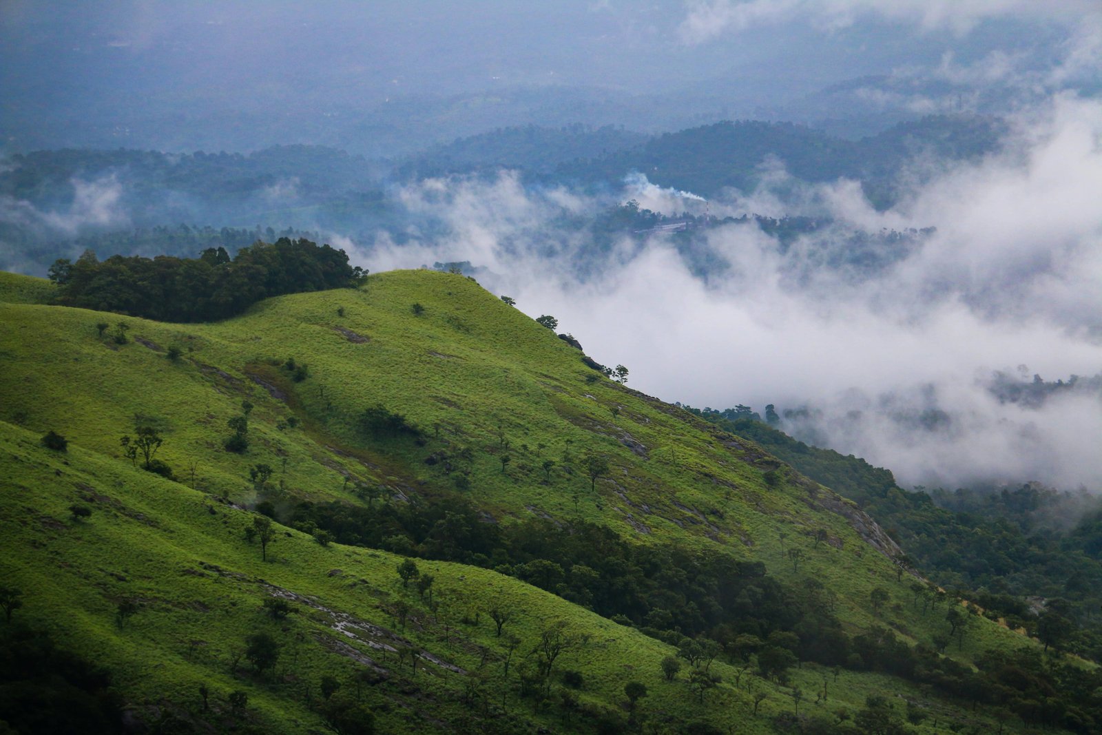 wayanad-wildlife-sanctuary-kerala-india